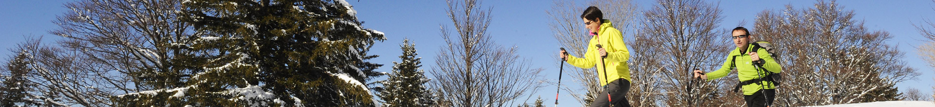 balades-raquettes-adulte-vercors-1269