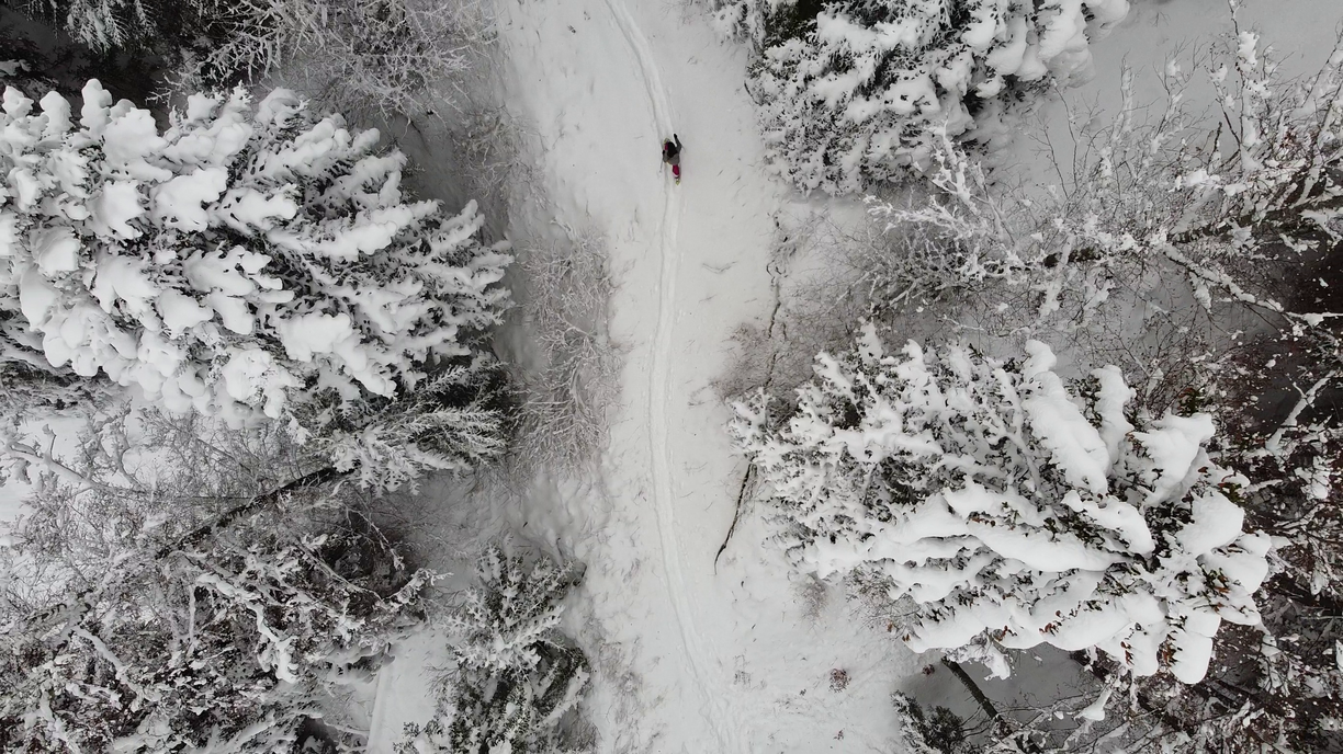 vlcsnap-2021-04-22-11h14m42s241-1224x688-4100