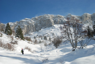 Snowshoeing or hiking outings in Vercors