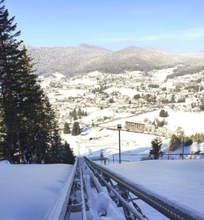 Tyrolienne géante, Luge sur rail, Tubing