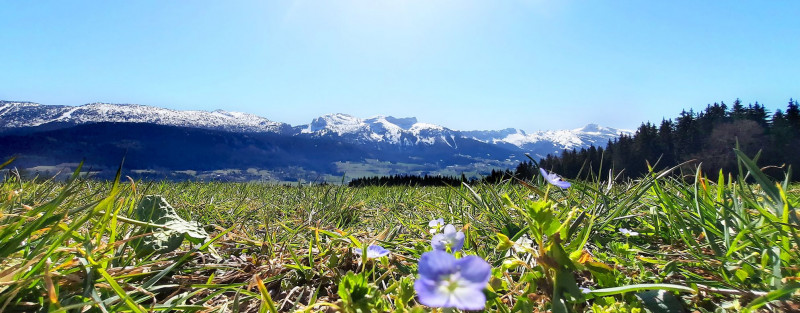 1990x220-banni-re-site-printemps-2953