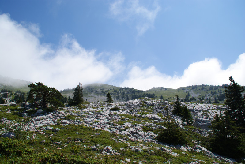 Le Parc Naturel Régional du Vercors