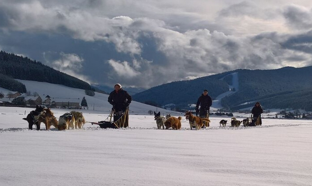 Dog sledding