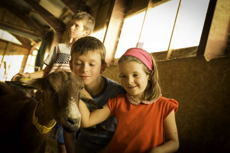 Se loger à la ferme