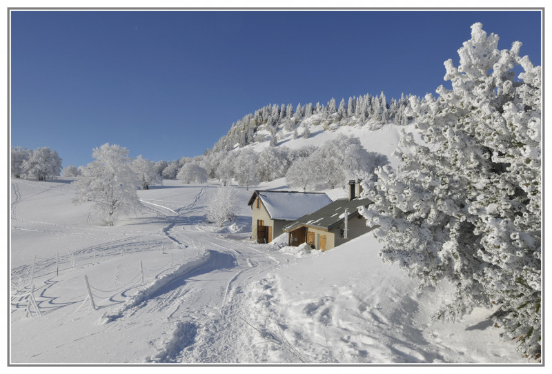 g-te-moli-re-hiver-18-0007899-10-x15-3049
