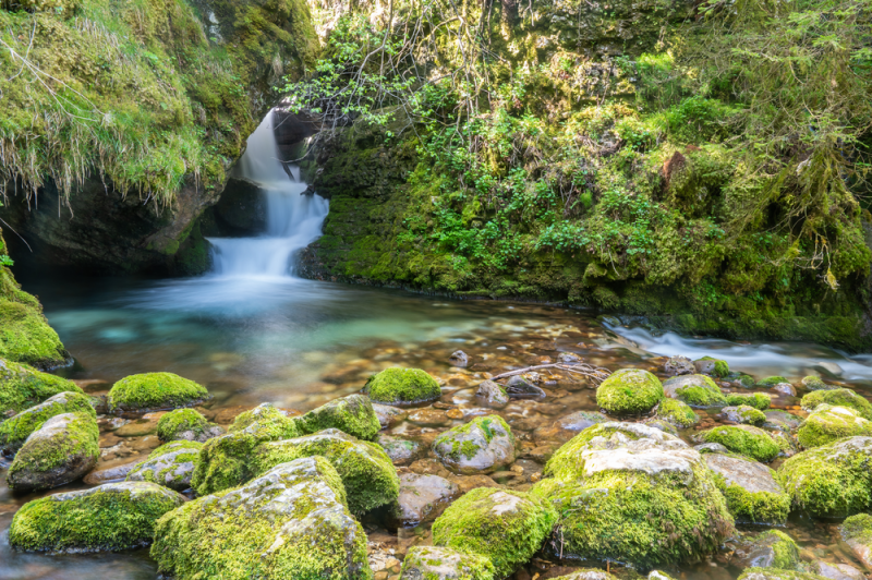 gorges-bruyant-2021-hd-focus-outdoor-0011-png-redim-4176