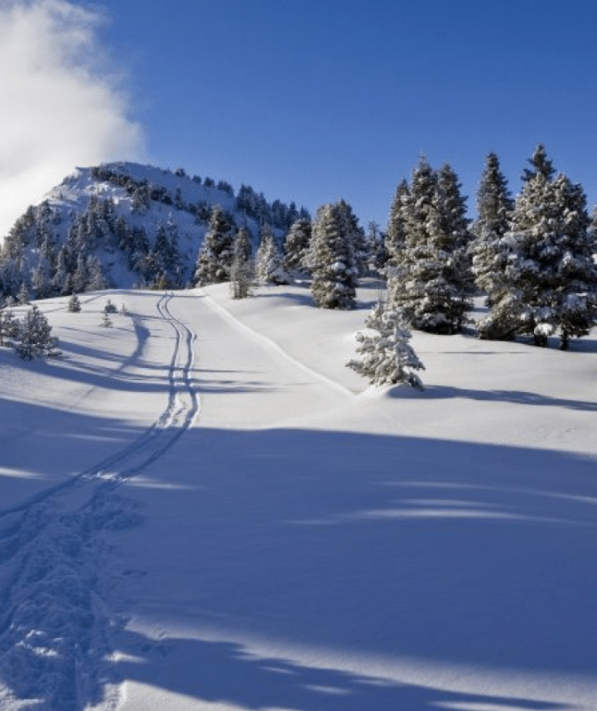 lans-en-vercors-2201