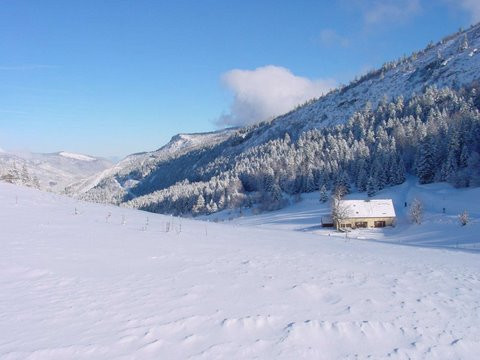En pleine nature, pied de pistes