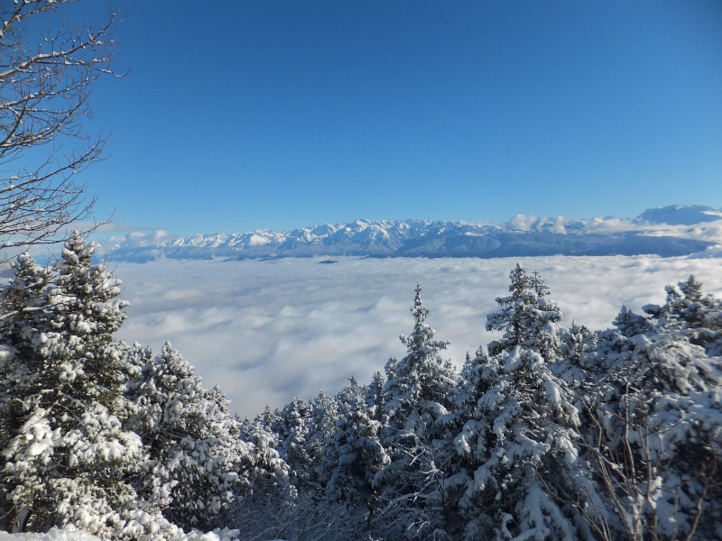Randonnées au départ de St Nizier du Moucherotte