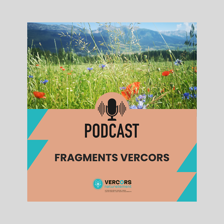 Podcasts