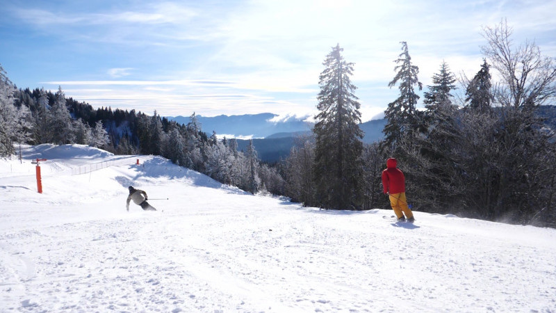 Bereich alpiner Ski & Tarife