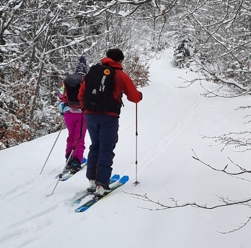 Ski de randonnée alpine et hors-piste