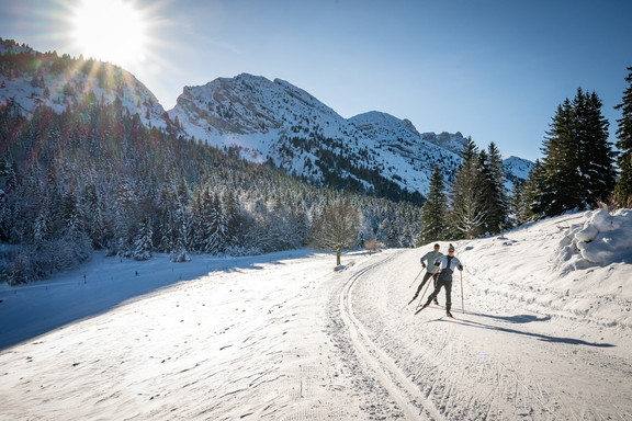 Damage et ouverture pistes nordiques