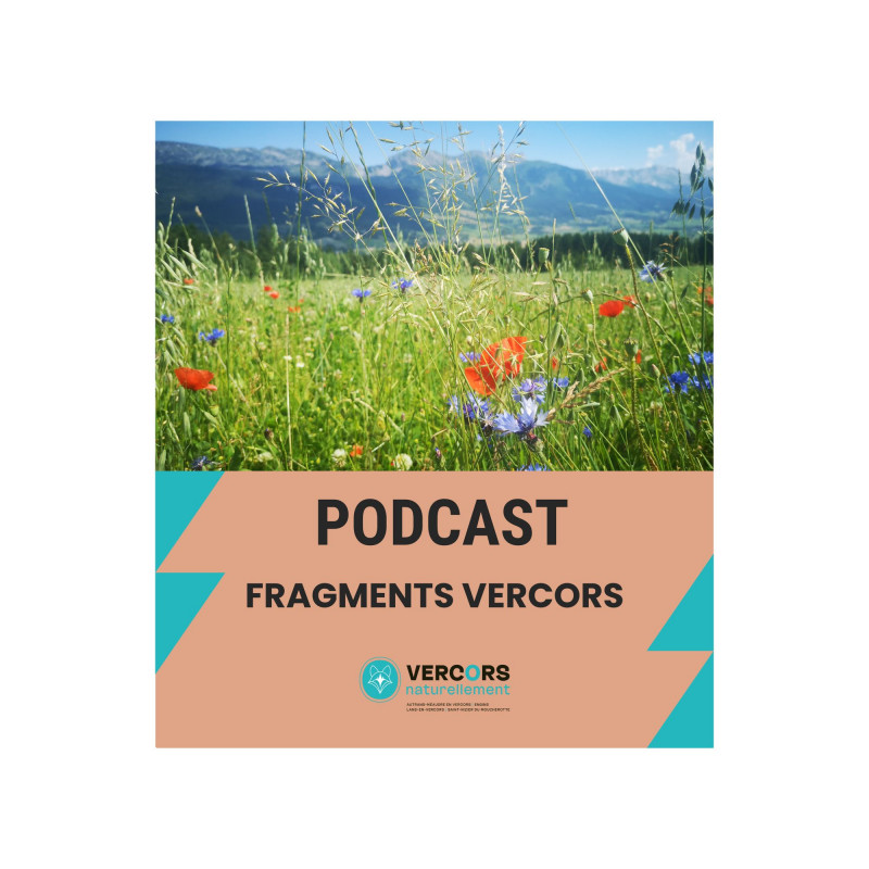 Podcasts