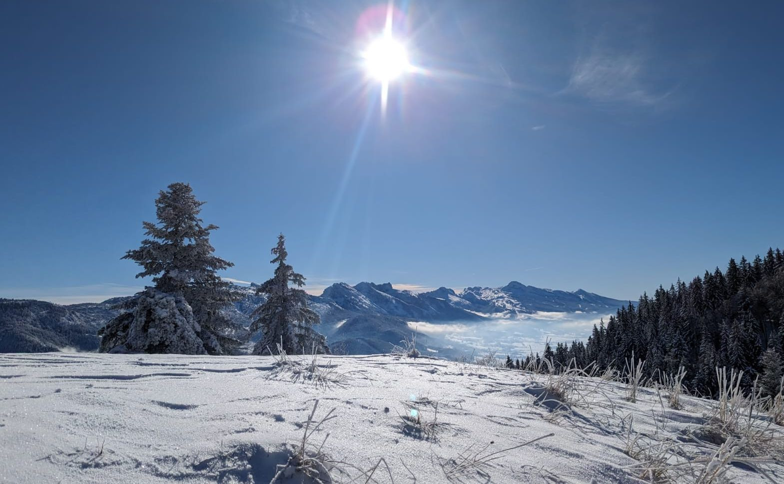 1701624780031-jpg-redim-1254