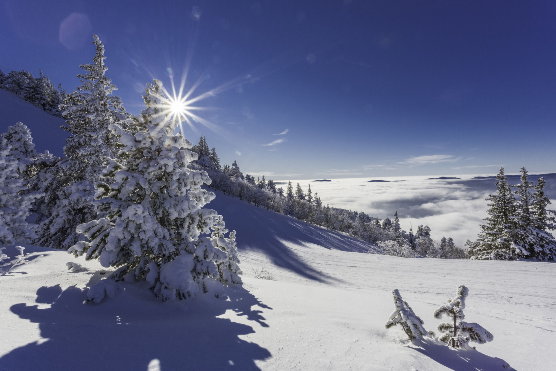 2022-montagnes-de-lans-hd-p-conche-1-jpg-redim-1245