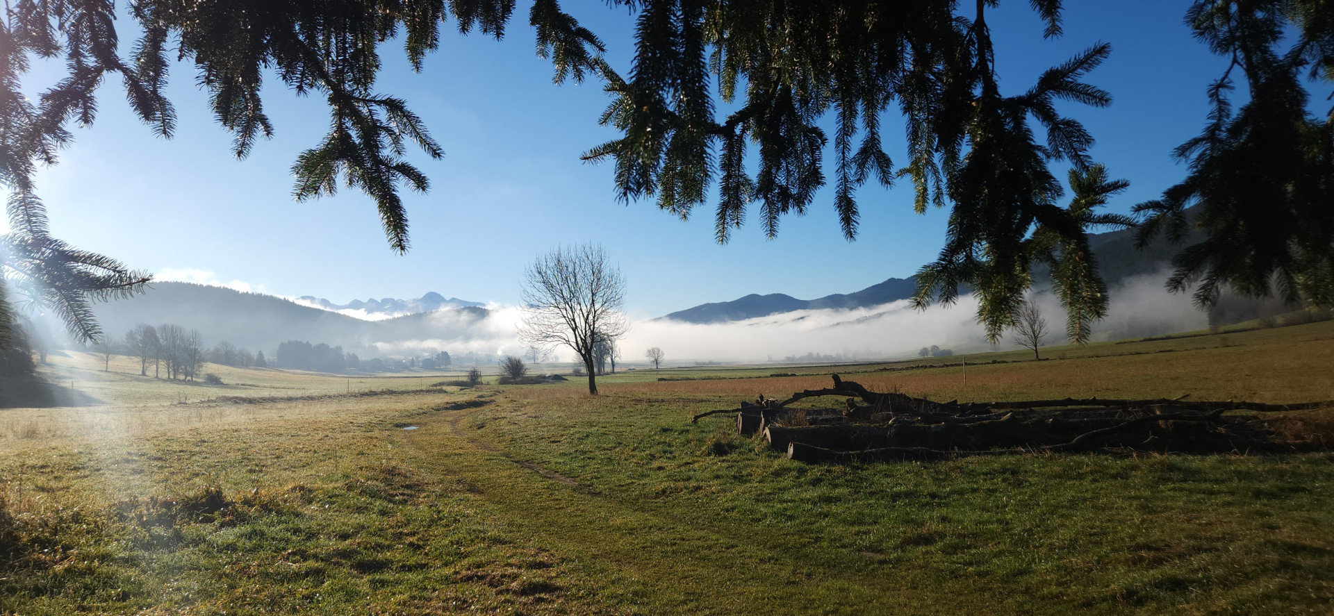 20241127-095731-1389