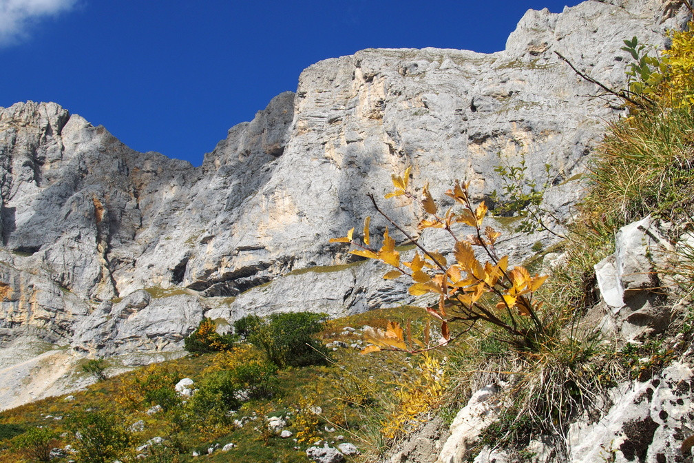balcon-est-automne-s-favier-1-1008x672-1387