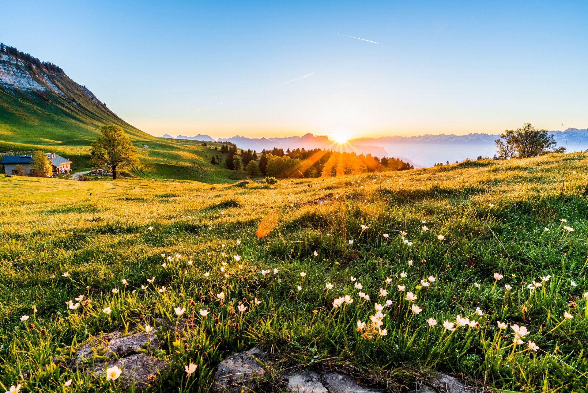 Plateau d'alpage de la Molière