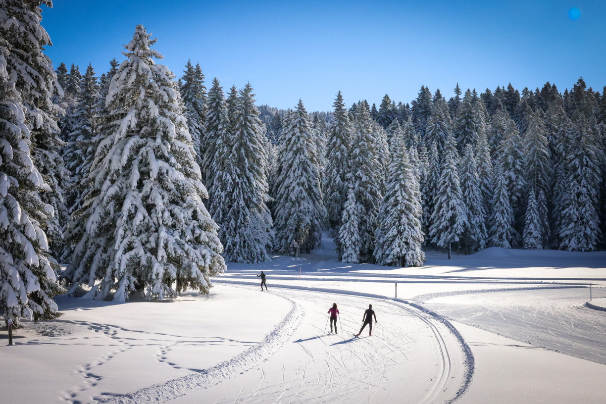 ski-nordique-geve-autrans-meeaudre-judicael-rey-ccmv-7-1224x816-1413