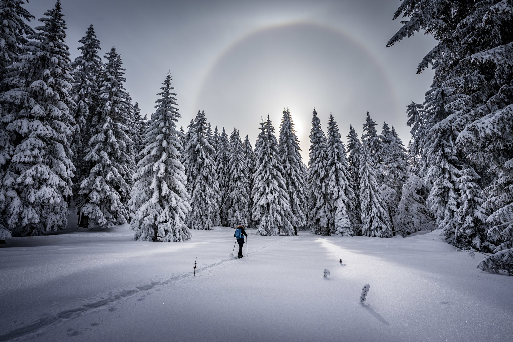 tas2caillouxdsc04959-1656x1104-png-redim-1407