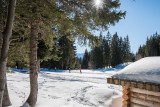 v_juraszek_nordique_meaudre_155_16_redimensionne.jpg