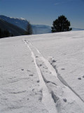 img_2840.jpg