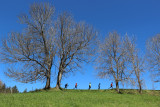 marche_nordique_anne_laure_fr3_46.jpg