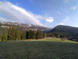 img_20200328_172514.jpg