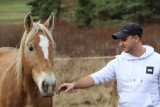 Aux palabres equestres