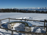 img_2972.jpg