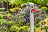 Le Jardin Ferroviaire & Musical_Chatte