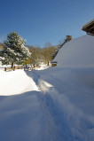 Curieux de Vercors