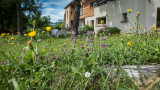 Jardin de la maison