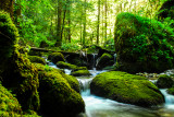 Gorges du Bruyant Lans en Vercors