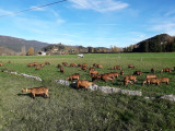 20221030_100235.jpg