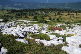 Les Ramées
