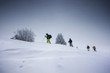 inspiration_vercors.jpg