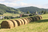 sch_2008_autrans_66.jpg