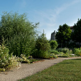 jardin_simples002.jpg