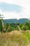 achille_7207226.jpg