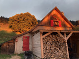 img_6175.jpg