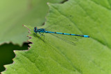 img_2626_version_2.jpg