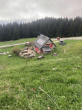 IMG_7143.jpeg