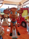 Gros plan sur la vache