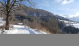 paysage d'hiver