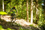 32 La Forêt, circuit VTT descendant n°32 bleu_Autrans-Méaudre en Vercors