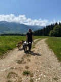 Photo balade avec des chiens et entre maîtres et chiens_Lans-en-Vercors