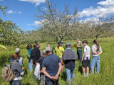 Visite du verger conservatoire