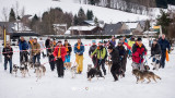 Groupe de personnes en séjour ski avec des chiens devant le gîte